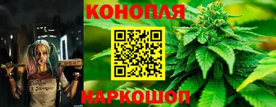 сатива Конаково